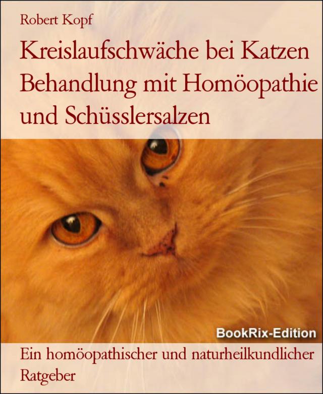 Kreislaufschwäche bei Katzen Behandlung mit Homöopathie und Schüsslersalzen