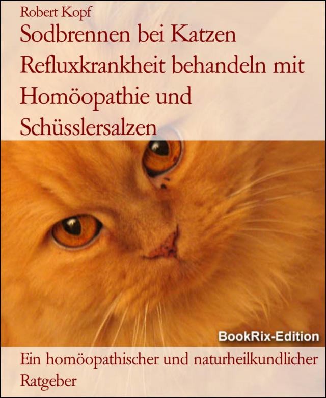 Sodbrennen bei Katzen Refluxkrankheit behandeln mit Homöopathie und Schüsslersalzen