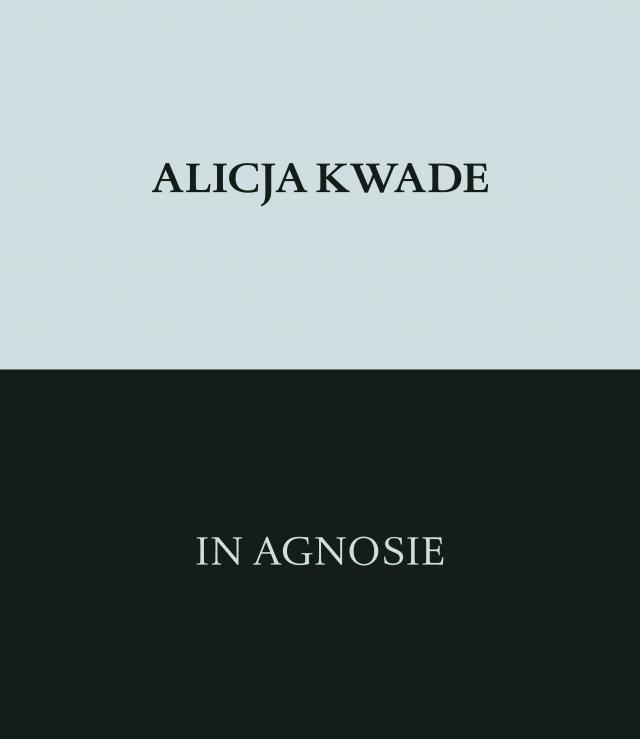 Alicja Kwade. In Agnosie