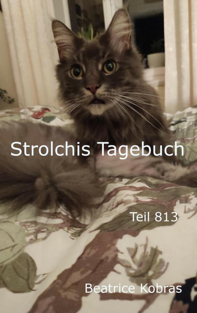 Strolchis Tagebuch - Teil 813
