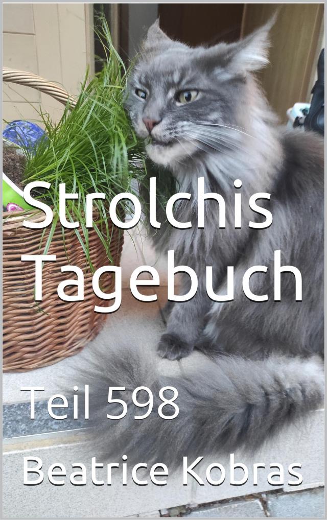 Strolchis Tagebuch - Teil 598