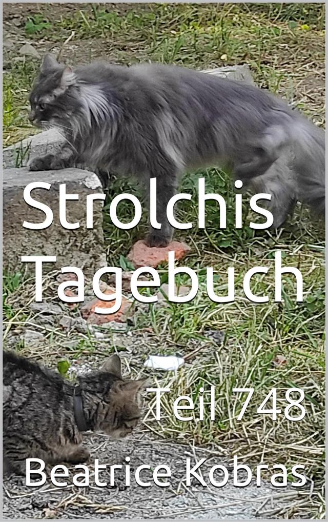 Strolchis Tagebuch - Teil 748
