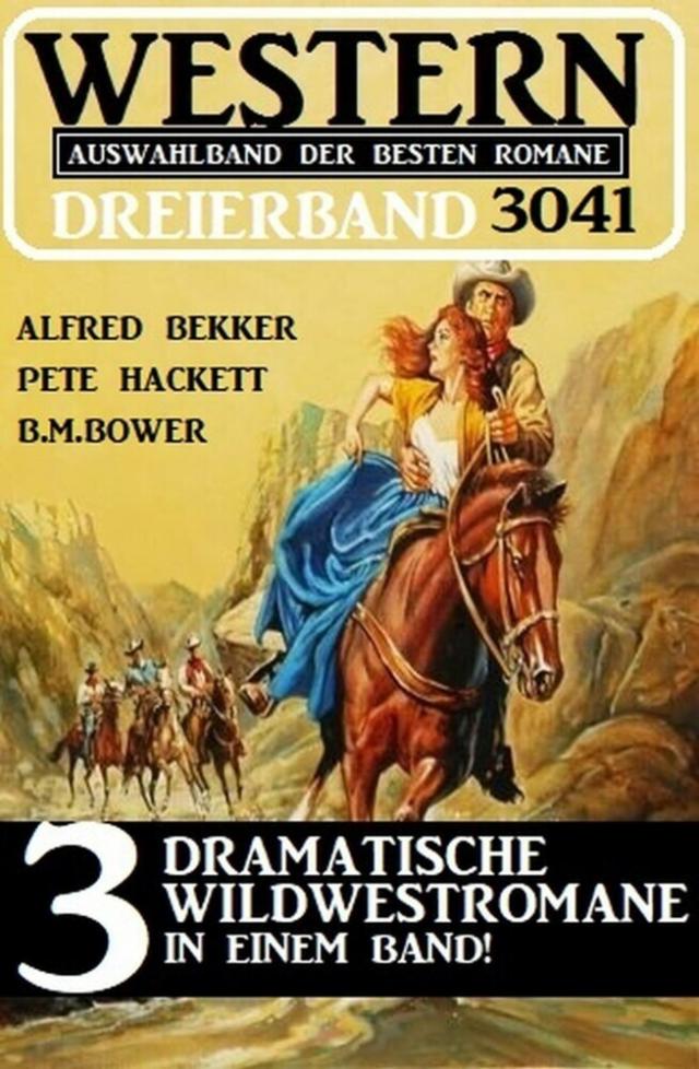 Western Dreierband 3041
