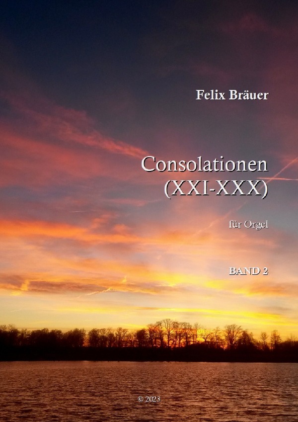 Felix Bräuer - Consolationen / Consolationen XXI-XXX