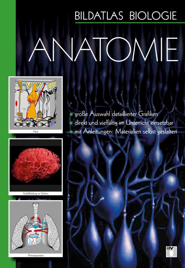 Bildatlas Biologie / DVD 1 - Anatomie