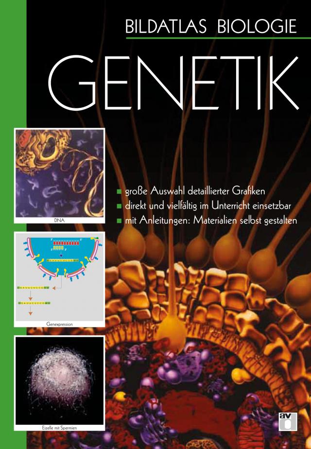 Bildatlas Biologie / DVD 2 - Genetik