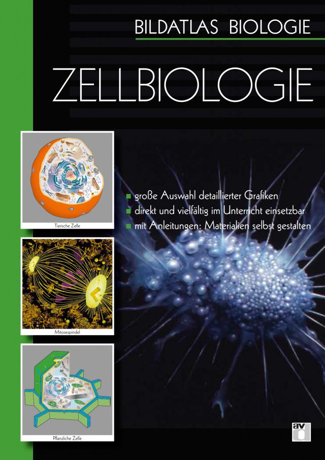 Bildatlas Biologie / DVD 3 Zellbiologie