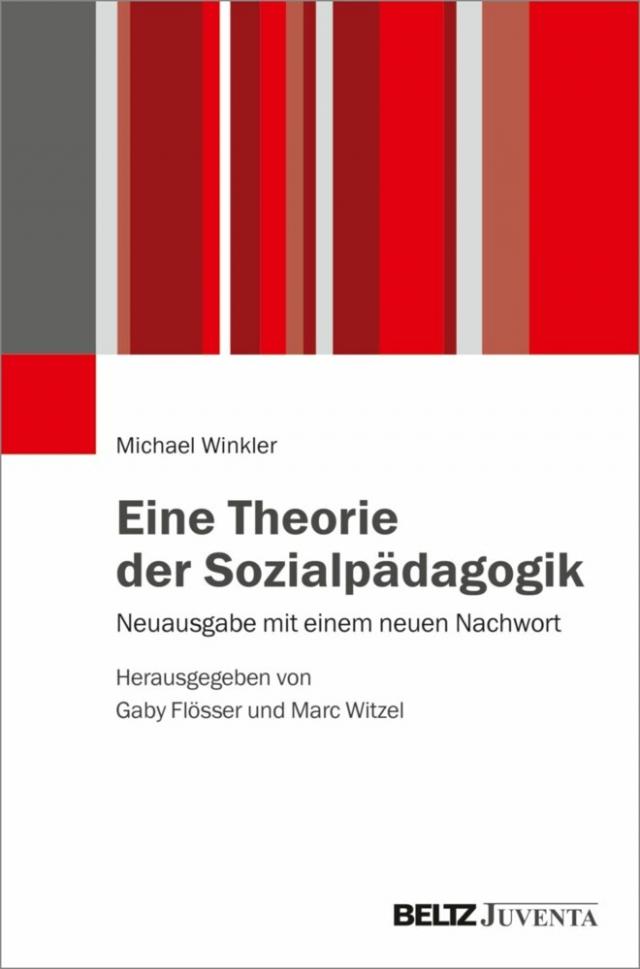 Eine Theorie der Sozialpädagogik