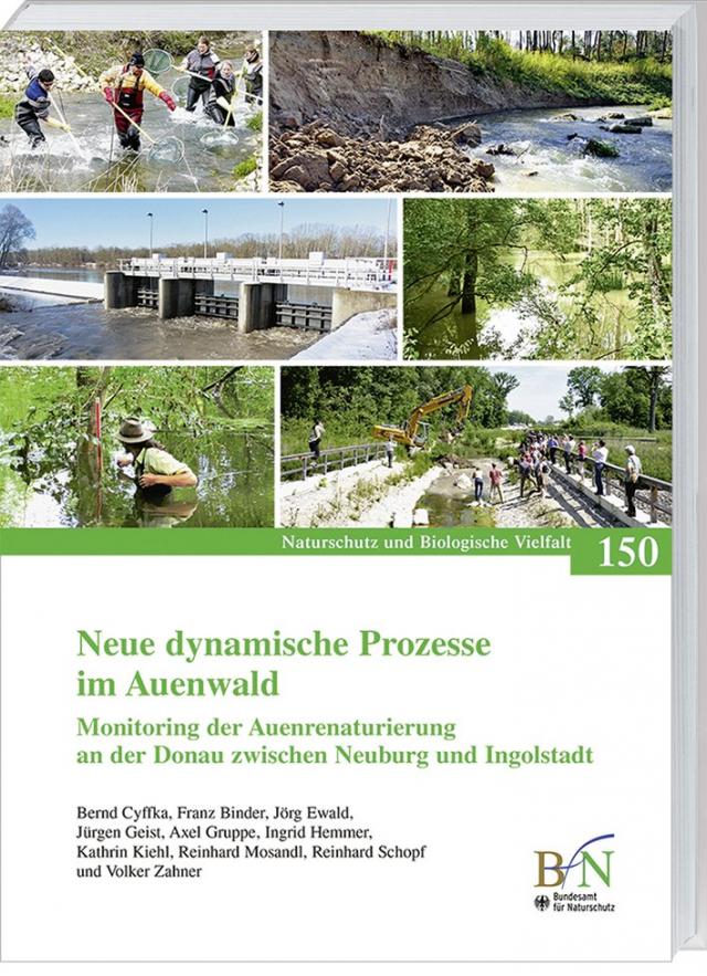 Neue dynamische Prozesse im Auenwald