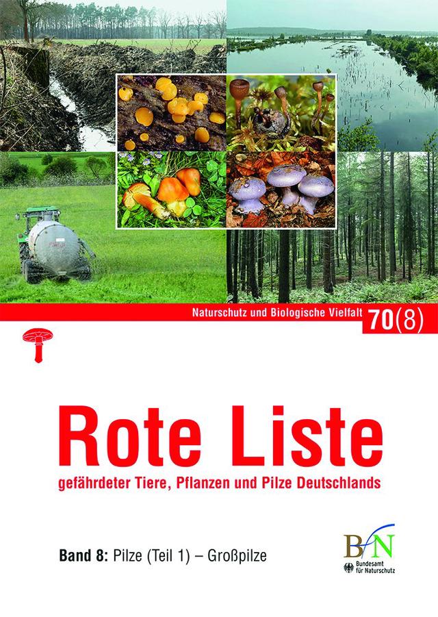 Rote Liste gefährdeter Tiere, Pflanzen und Pilze Deutschlands - Bd 8: Pilze (Teil 1)-Großpilze