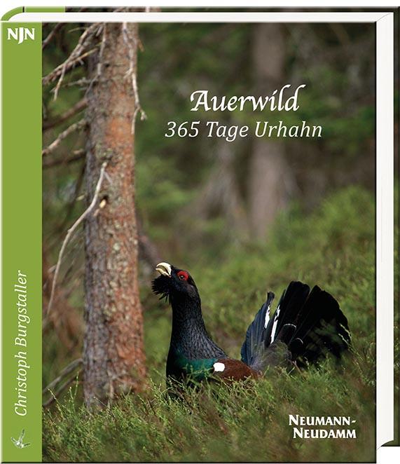Auerwild – 365 Tage Urhahn