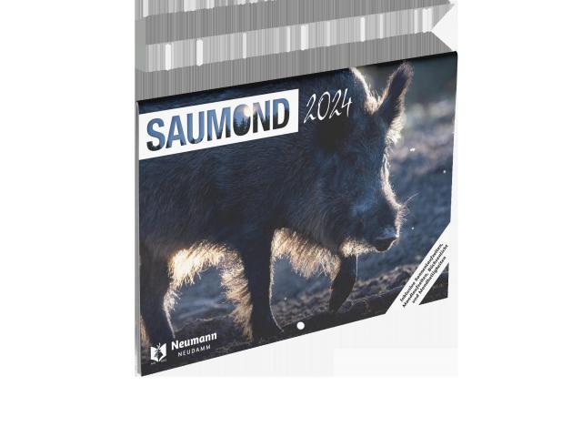 Saumond 2024