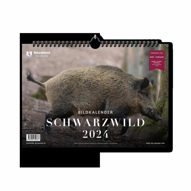 Schwarzwild 2024