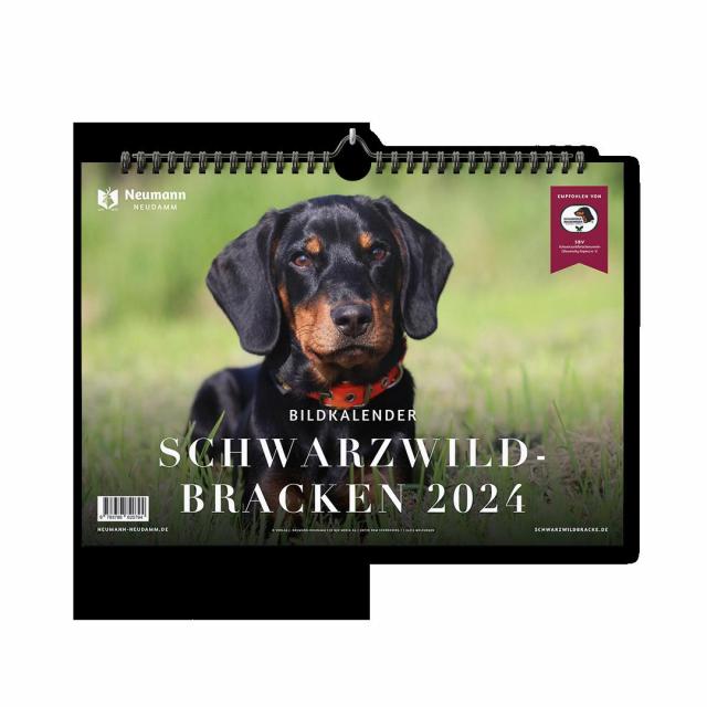 Schwarzwildbracken 2024
