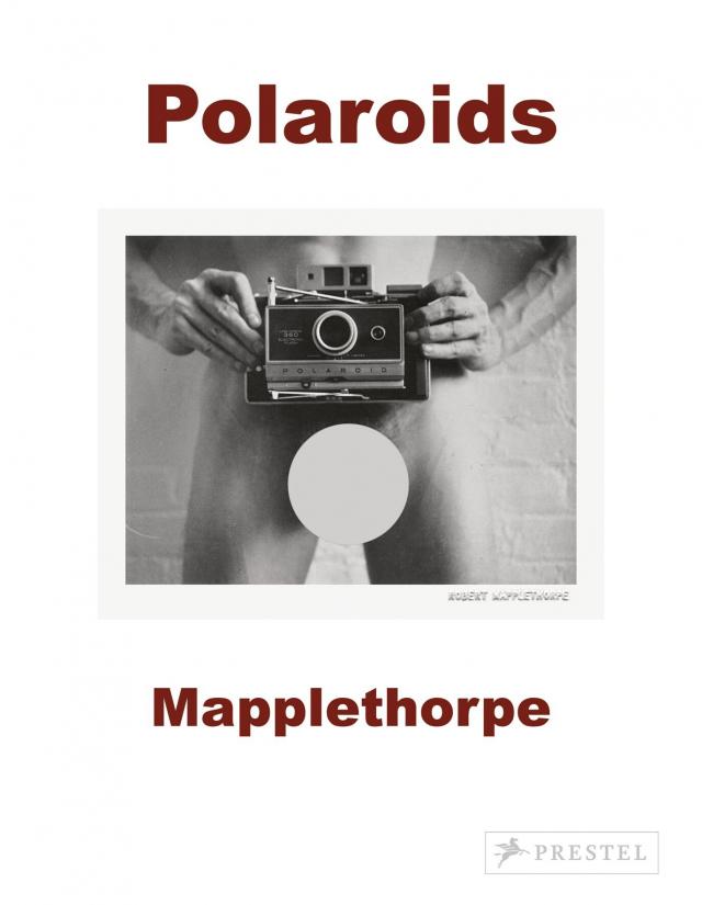 Mapplethorpe Polaroids S.A.