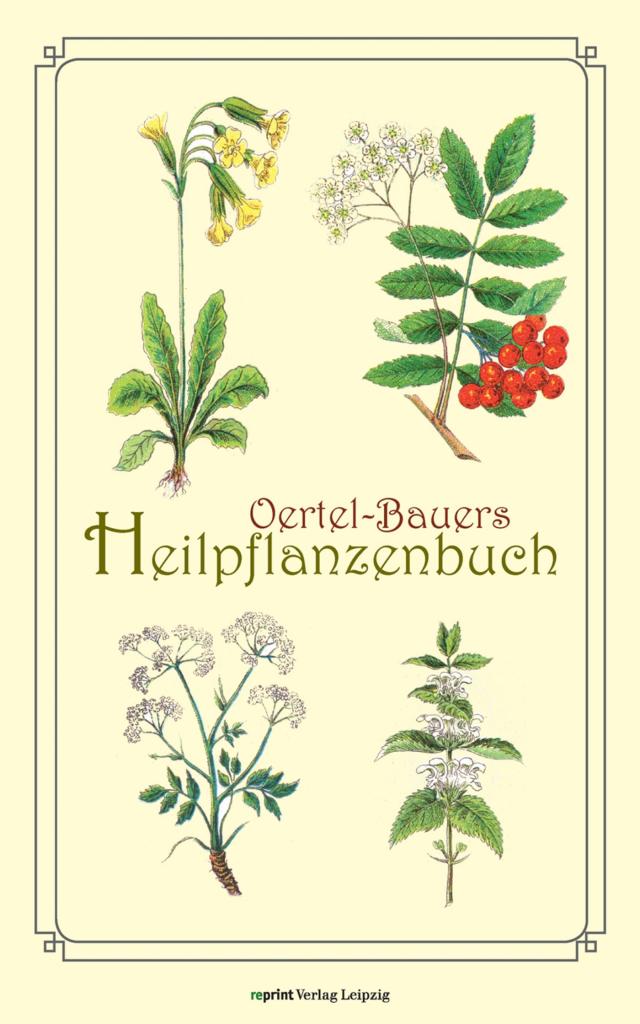 Oertel-Bauers Heilpflanzenbuch