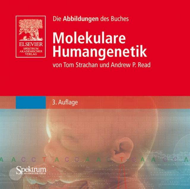 Bild-CD-ROM, Molekulare Humangenetik