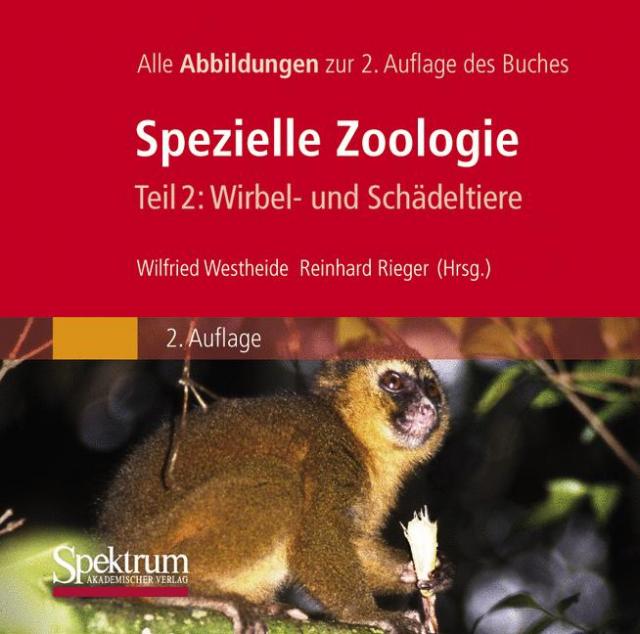 Bild-DVD, Westheide/Rieger (Hrsg), Spezielle Zoologie, Teil 2: Wirbel- oder Schädeltiere