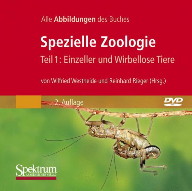 Spezielle Zoologie. Teil 1 /2. Paket. Teil 1: Einzeller und Wirbellose... / Bild-DVD, Spezielle Zoologie, Teil 1: Einzeller und Wirbellose Tiere