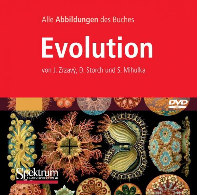 Bild-DVD, Evolution