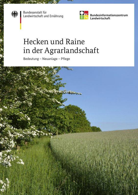 Hecken und Raine in der Agrarlandschaft - Bedeutung - Anlage - Pflege