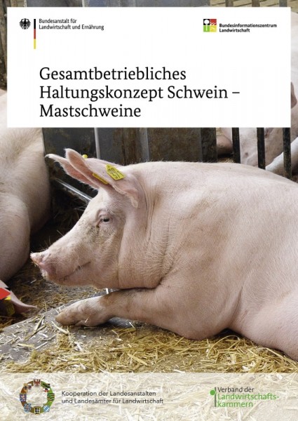 Gesamtbetriebliches Haltungskonzept Schwein - Mastschweine