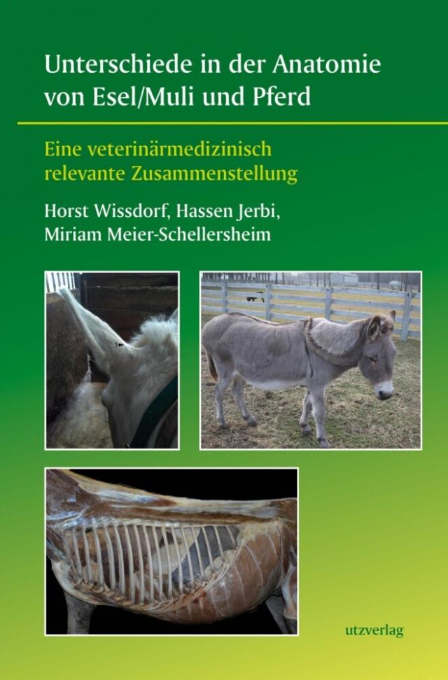 Unterschiede in der Anatomie von Esel/Muli und Pferd Veterinärmedizin  