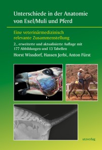Unterschiede in der Anatomie von Esel/Muli und Pferd Veterinärmedizin  