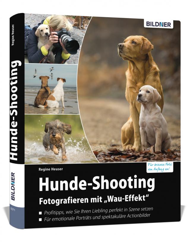 Hunde-Shooting - Fotografieren mit „Wau-Effekt“