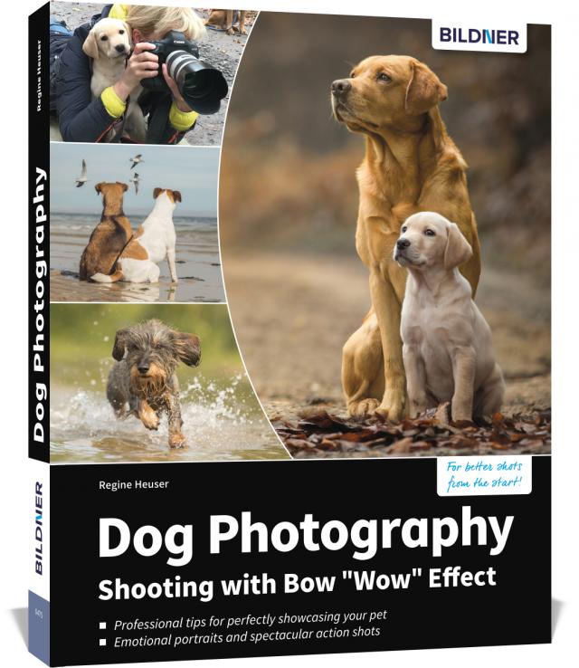 Dog Photography - Shooting with Bow 