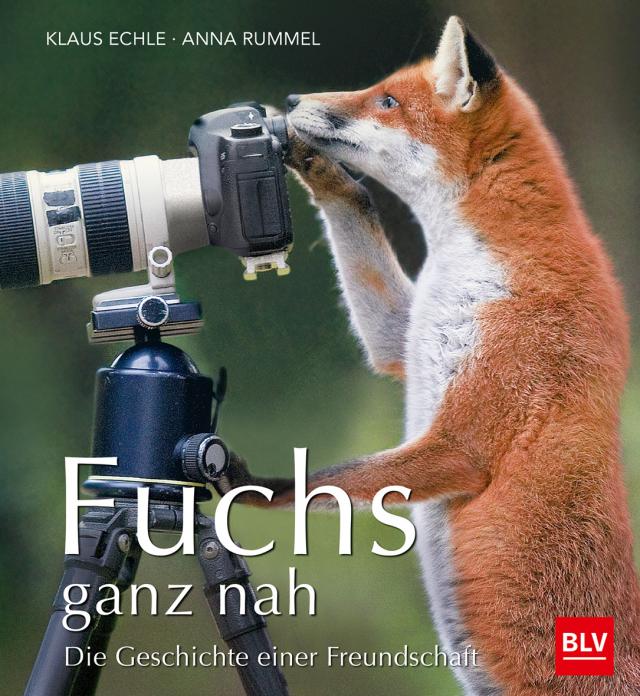 Fuchs ganz nah, m. Poster Die Geschichte einer Freundschaft. Gebunden.
