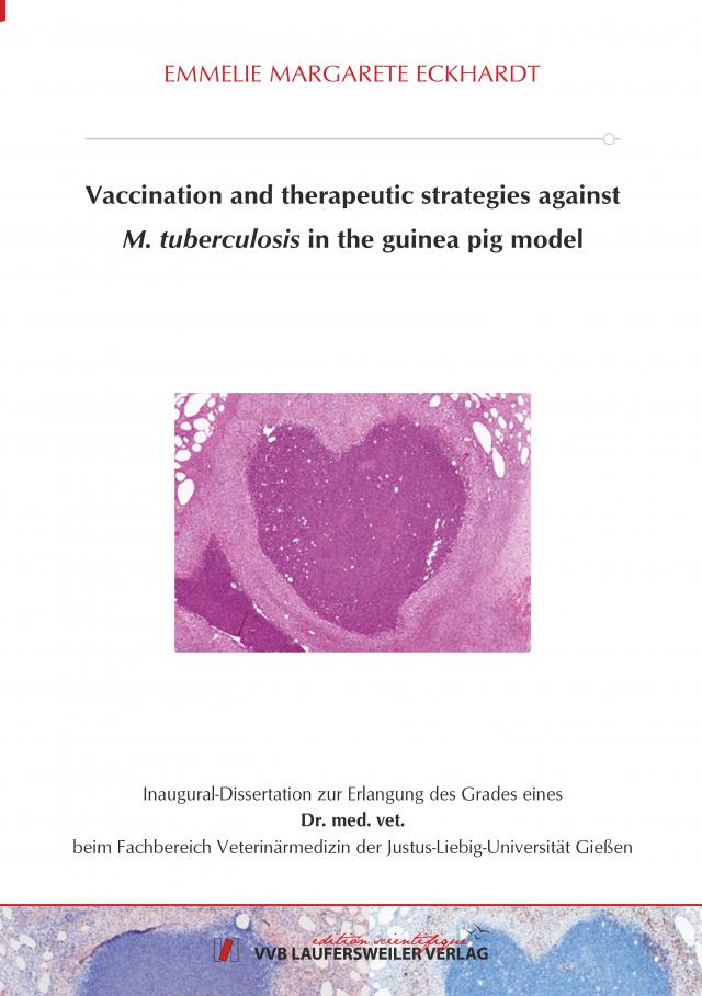 Vaccination and therapeutic strategies against M. tuberculosis in the guinea pig model