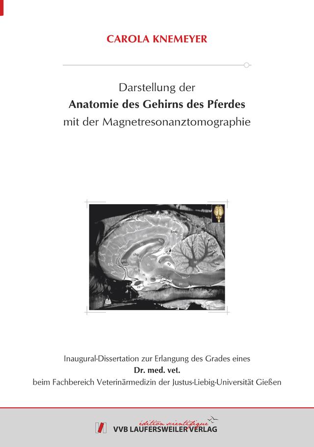 Darstellung der Anatomie des Gehirns des Pferdes mit der Magnetresonanztomographie