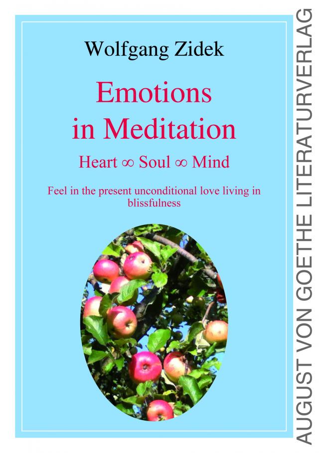 Emotions in Meditation