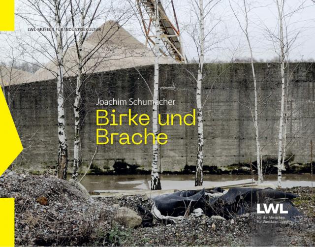 Birke und Brache