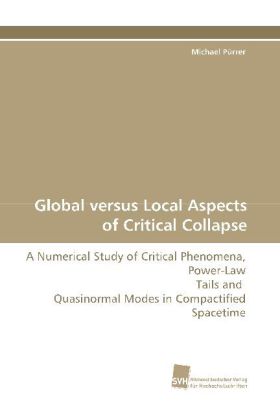 Global versus Local Aspects of Critical Collapse