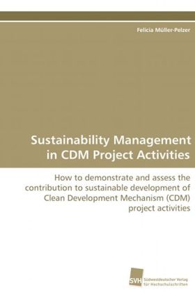 Sustainability Management in CDM Project Activities