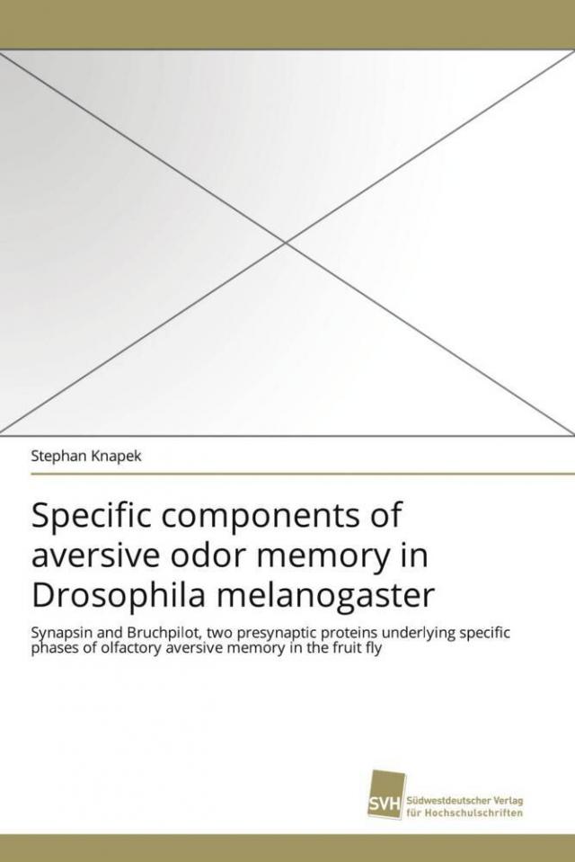 Specific components of aversive odor memory in Drosophila melanogaster
