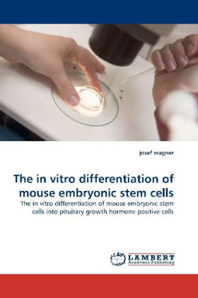 The in vitro differentiation of mouse embryonic stem cells