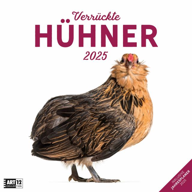Verrückte Hühner Kalender 2025 - 30x30