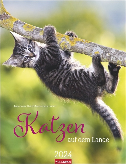 Katzen auf dem Lande Kalender 2024. Süße Kätzchen in ländlicher Idylle: Ein Foto-Kalender zum Dahinschmelzen. Planer mit Platz zum Eintragen. Hochformat 30x39 cm