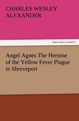 Angel Agnes The Heroine of the Yellow Fever Plague in Shreveport