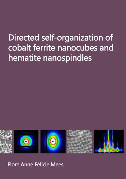 Directed self-organization of cobalt ferrite nanocubes and hematite nanospindles