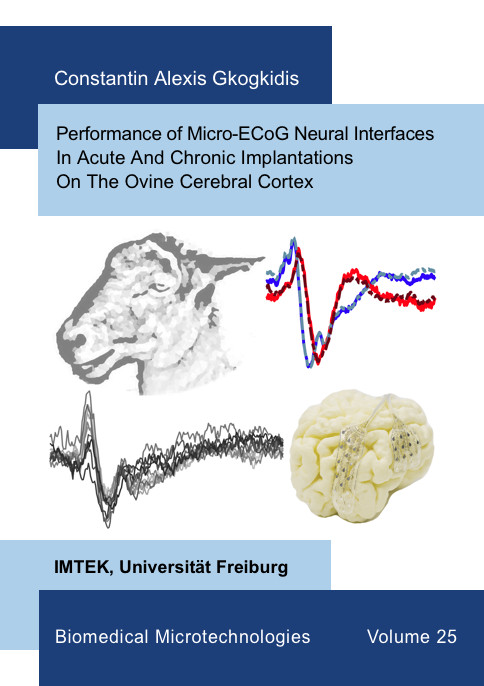 Performance of Micro-ECoG Neural Interfaces In Acute And Chronic Implantations On The Ovine Cerebral Cortex