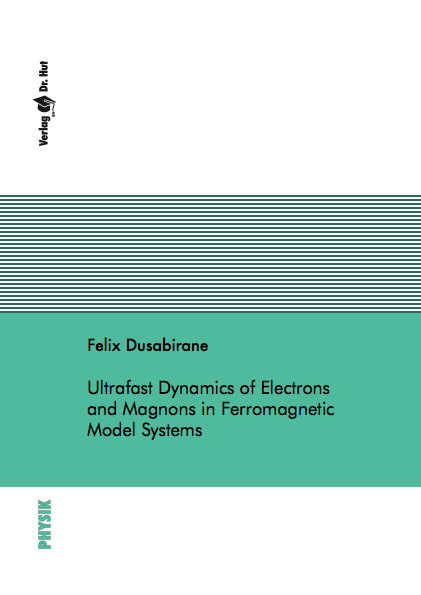 Ultrafast Dynamics of Electrons and Magnons in Ferromagnetic Model Systems