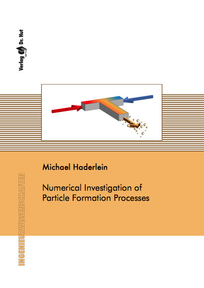 Numerical Investigation of Particle Formation Processes