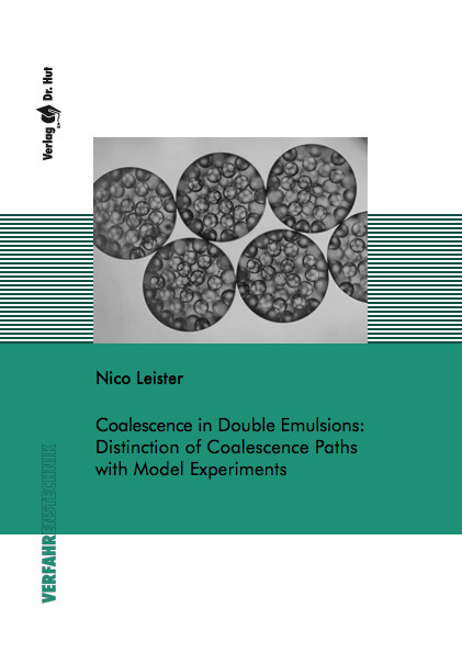 Coalescence in Double Emulsions: Distinction of Coalescence Paths with Model Experiments