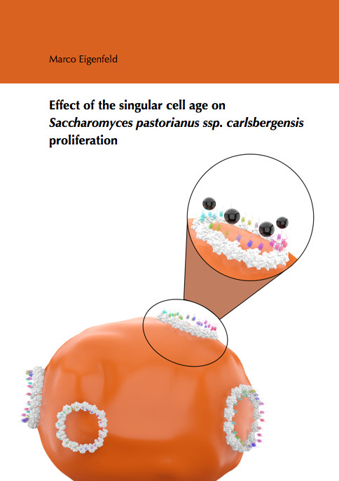 Effect of the singular cell age on Saccharomyces pastorianus ssp. carlsbergensis proliferation