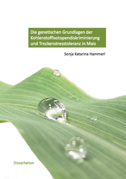 Die genetischen Grundlagen der Kohlenstoffisotopendiskriminierung und Trockenstresstoleranz in Mais