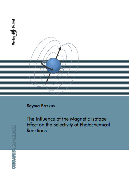 The Influence of the Magnetic Isotope Effect on the Selectivity of Photochemical Reactions